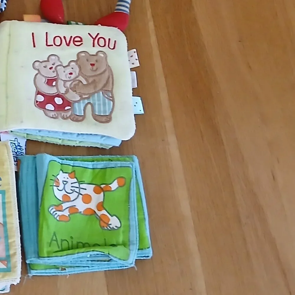 Infants cloth Books x 16 used